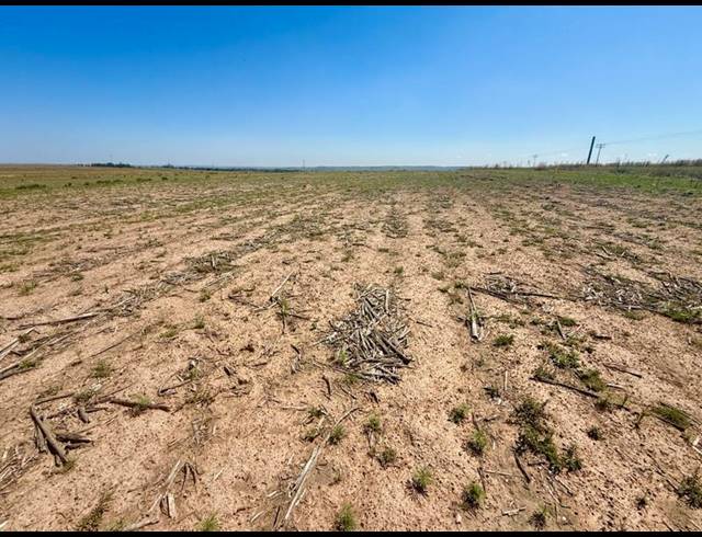FARM FOR SALE IN TWEELING